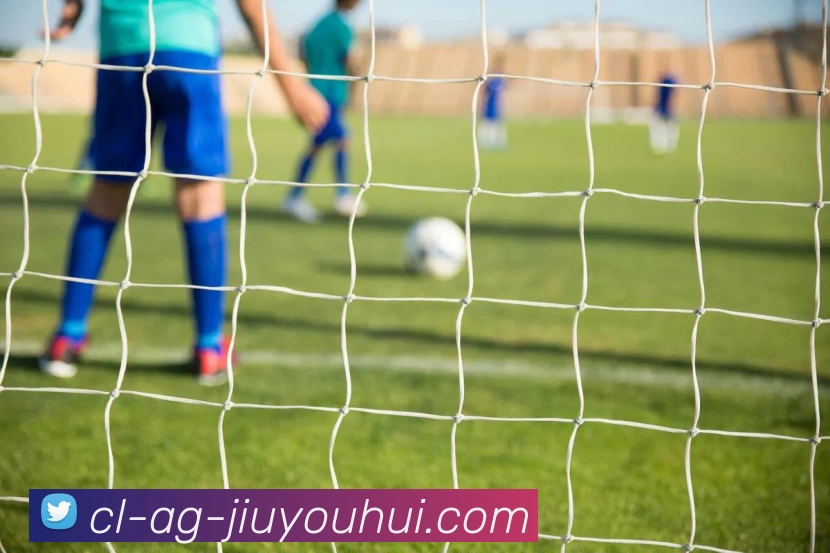 九游会AGGAMES官网平台生态图