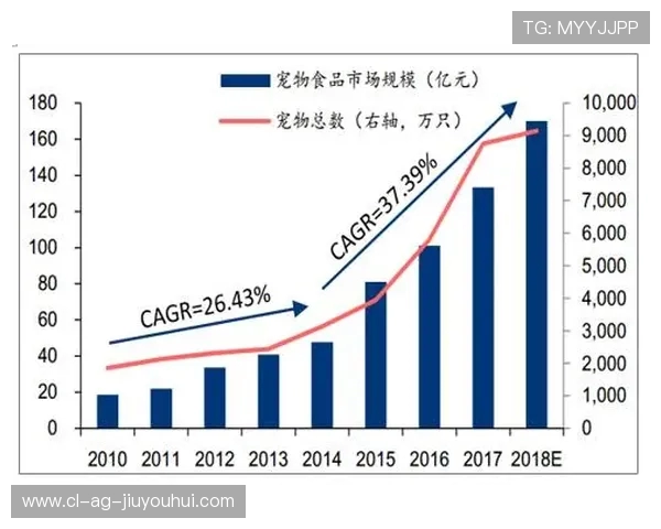 中左卫在现代足球战术体系中的角色与发展趋势分析